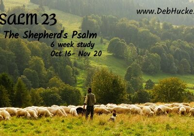 Green pastures, quiet waters, Psalm 23:2