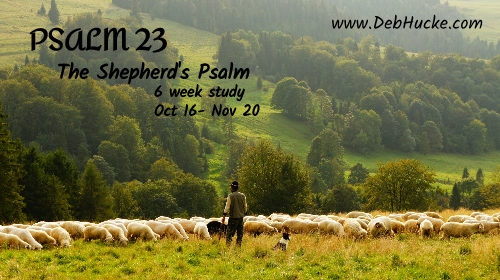 Psalms: Lessons In Prayer – The Ranch