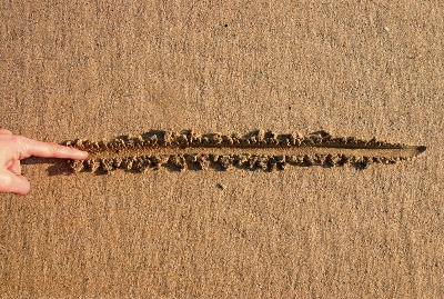 A Line in the Sand